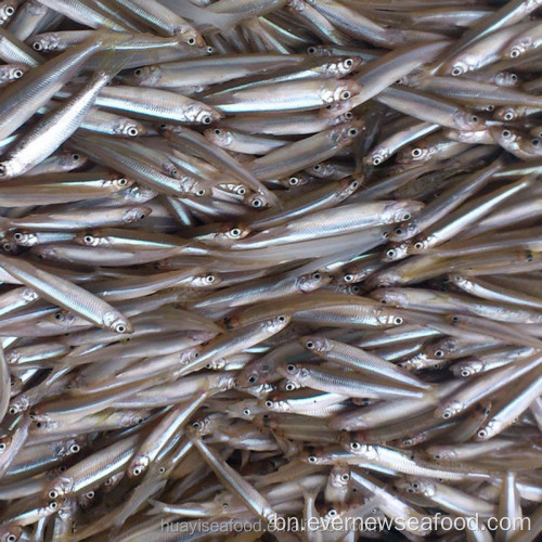 মিঠা পানির মাছ হিমায়িত পুরো পুকুরের গন্ধ